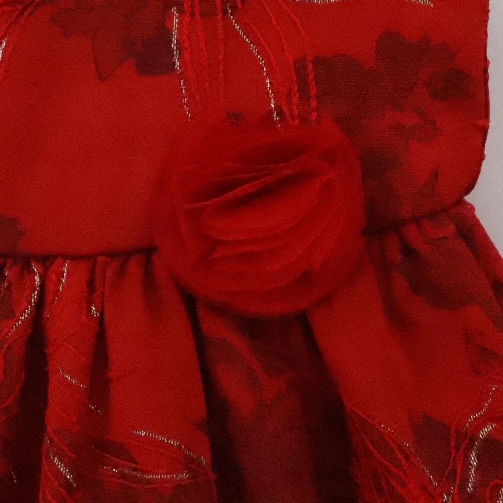 The Childrens Place Baby Girl Red Metallic‎ Floral Holiday Dress Size 6-9  Month